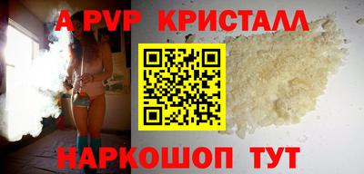 spice Кингисепп